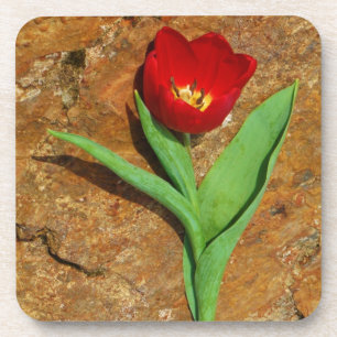 Porta-copo Tulipa Amarela e Vermelha