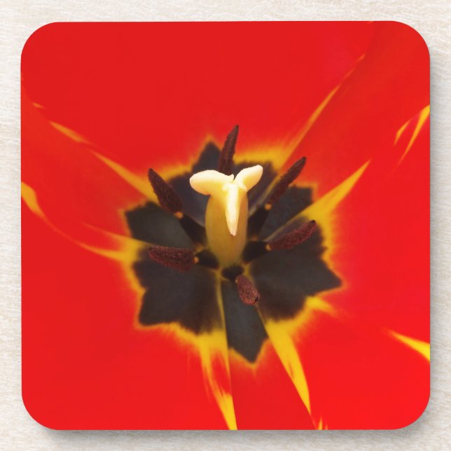 Porta-copo tulipa amarela vermelha (Frente)