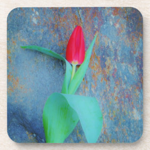 Porta-copo Tulipa Vermelha na Cinza Azul