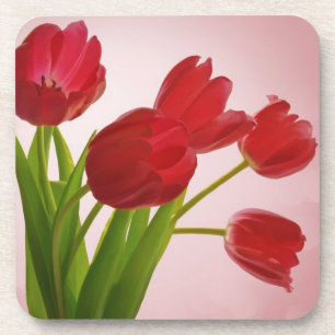 Porta-copo Tulipas