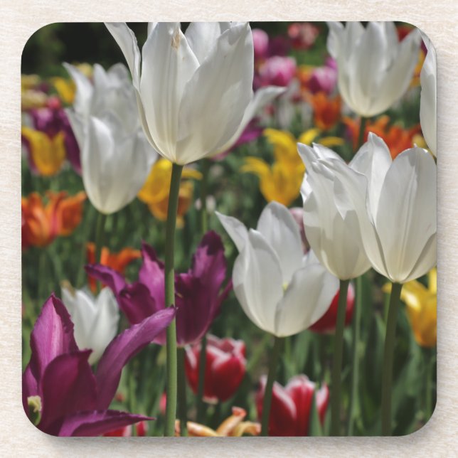 Porta-copo Tulipas (Frente)
