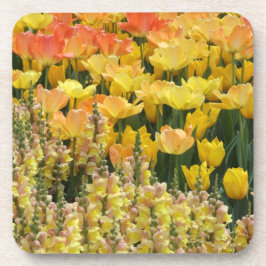 Porta-copo Tulipas e portas copos de Snapdragons