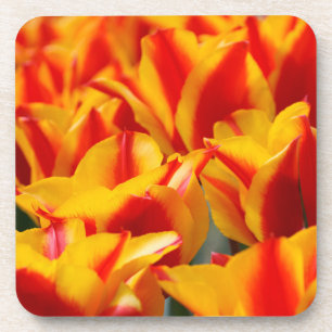 Porta-copo Tulipas Vermelhas e Amarelas