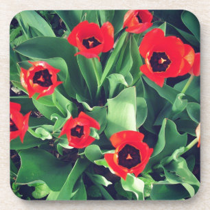 Porta-copo Um Buquê de Tulipas no jardim