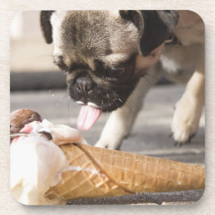 Porta-copo Um cão que come um sorvete de um pavimento