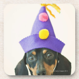 Porta-copo Um cão que veste um chapéu engraçado