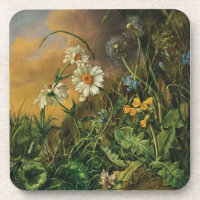 Um Chão Florestal com Margaridas, Primaveras, ...