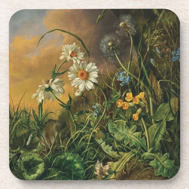 Porta-copo Um Chão Florestal com Margaridas, Primaveras, ... (Frente)
