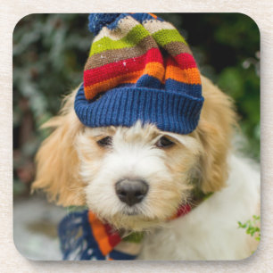 Porta-copo Um filhote de cachorro doce de Cavachon em um