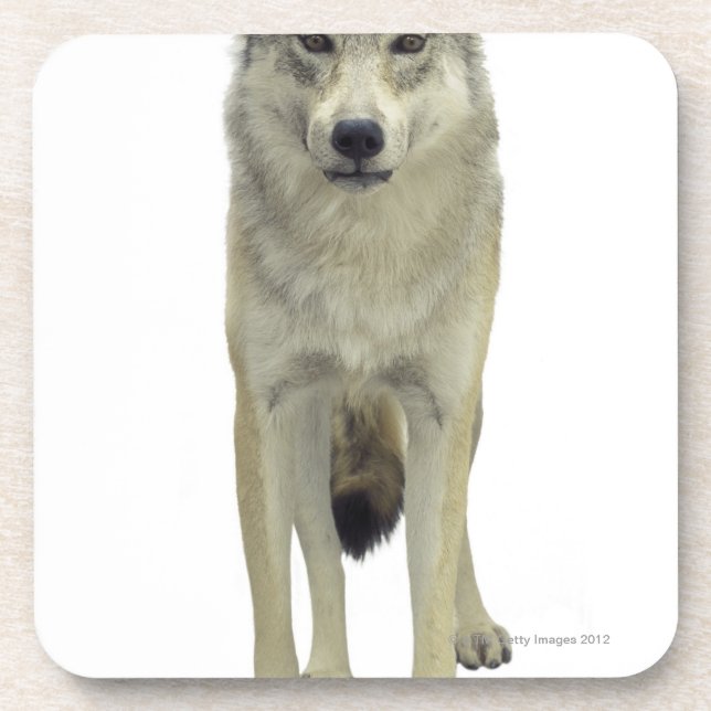 Porta-copo Um lobo (Frente)