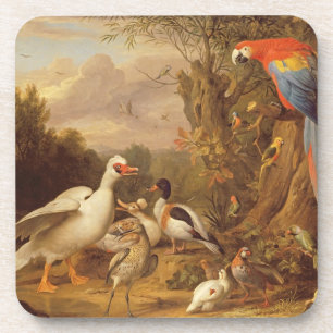 Porta-copo Uma arara, patos, papagaios e outras aves em terra