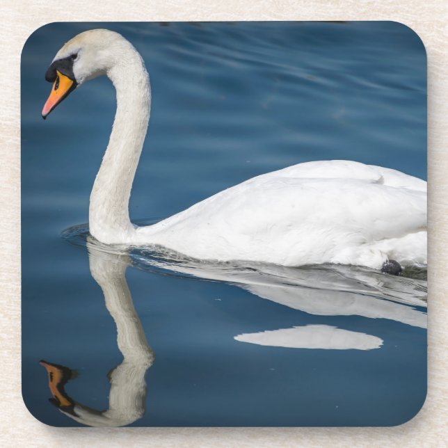 Porta-copo Uma cisne e suas portas copos plásticas duras da (Frente)