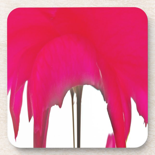 Porta-copo Uma Rosa vermelha maravilhosa sob o céu branco (Frente)