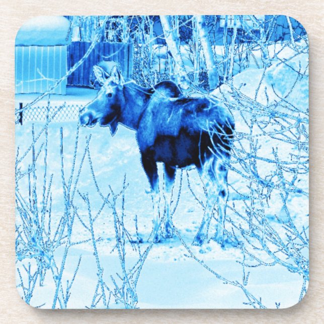 Porta-copo Urban Moose (Frente)