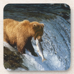 Porta-copo Urso Pardo do Alasca Capturando Salmão em Brooks