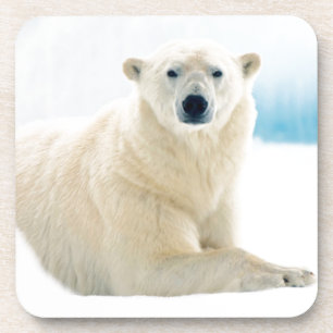 Porta-copo Urso polar adulto grande javali no gelo de verão