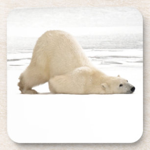Porta-copo Urso polar coçando-se na tundra congelada