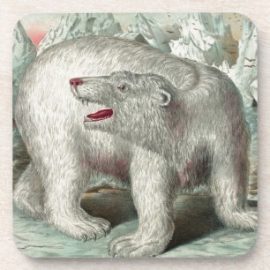 Porta-copo Urso polar venenoso na ilustração do inverno de 