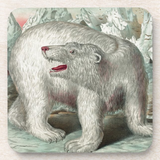Porta-copo Urso polar venenoso na ilustração do inverno de ic (Frente)