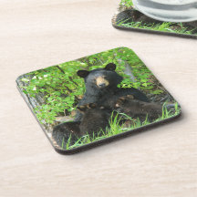 Urso Preto e Cubos Gêmeos