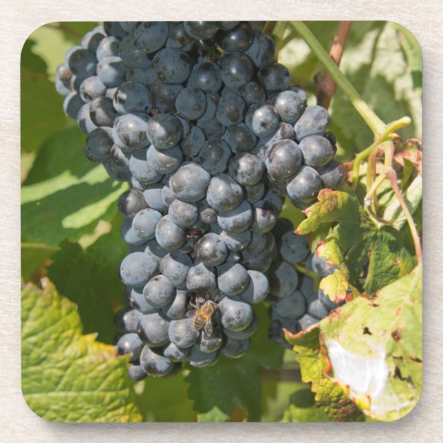 Porta-copo Uruguai, Montevidéu, Área de Colon. Bodegas (Frente)