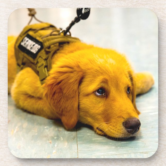 PORTA-COPO US MILITARY SERVICE DOG (Frente)