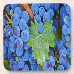 Porta-copo Uvas numa Vinha