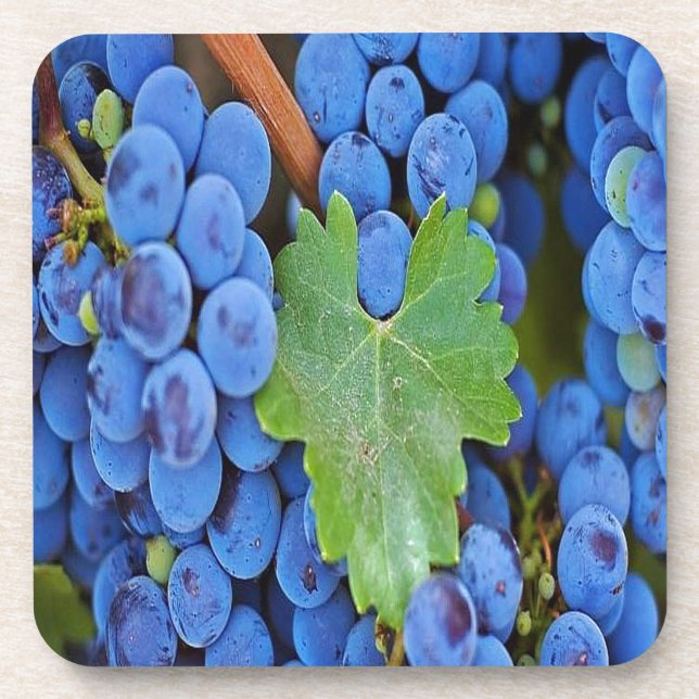 Porta-copo Uvas numa Vinha (Frente)