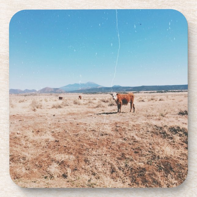 Porta-copo Vaca do Deserto (Frente)