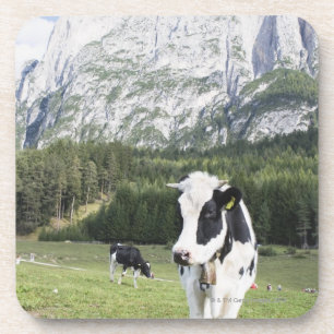 Porta-copo Vaca em um prado, Fie Sciliar Allo, alto Adige,