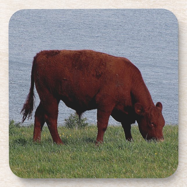 Porta-copo Vaca sul Grazeing do rubi de Devon no litoral (Frente)