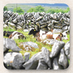 Porta-copo Vacas de Moo