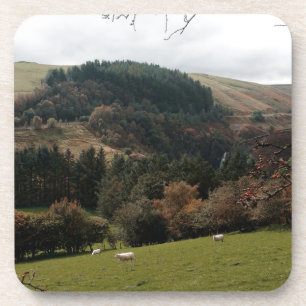Porta-copo Vale Wales da flâmula