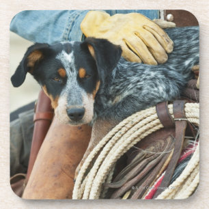 Porta-copo Vaqueiro e cão no cavalo