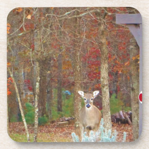 Porta-copo Vendedor de Natal