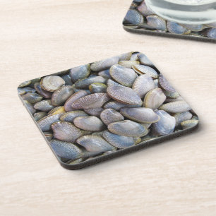 Porta-copo Venus Clam [หอยลาย]