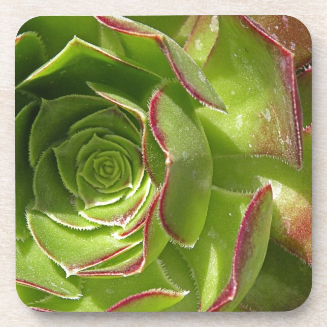 Porta-copo Verde (Frente)