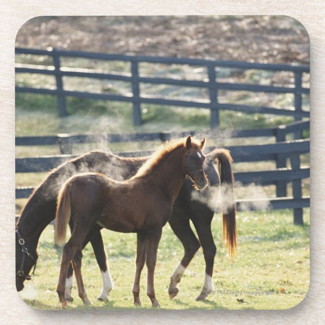 Porta-copo Vermont, EUA (Frente)