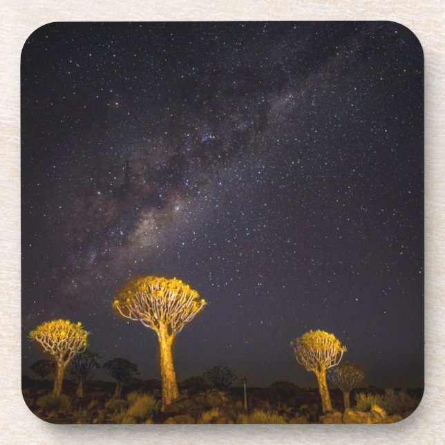 Porta-copo Via Láctea Quiver Tree | Keetmanshoop Namíbia (Frente)