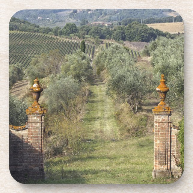 Porta-copo Vinhas, Toscana, Itália (Frente)