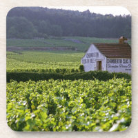 vinhedo Chambertin Clos de Beze Grand Cru com