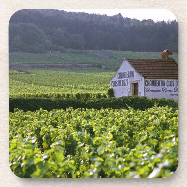 Porta-copo vinhedo Chambertin Clos de Beze Grand Cru com (Frente)