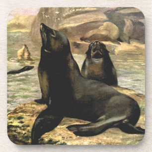 Porta-copo Vintage California Sea Lions por CE Swan