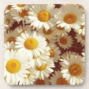 Porta-copo Vintage daisies