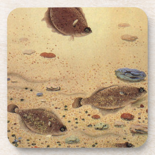 Porta-copo Vintage Flounders, Marine Ocean Life Flat Fish