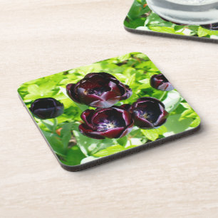 Porta-copo Vintage - Foto de Tulipas Negras Roxas Roxas Holan