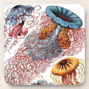 Porta-copo Vintage Haeckel