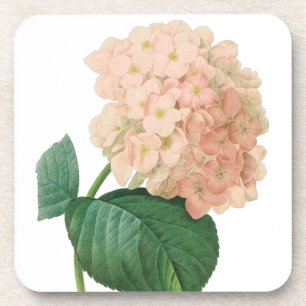 Porta-copo Vintage Pink Hydrangea Hortensia Flower por Redout
