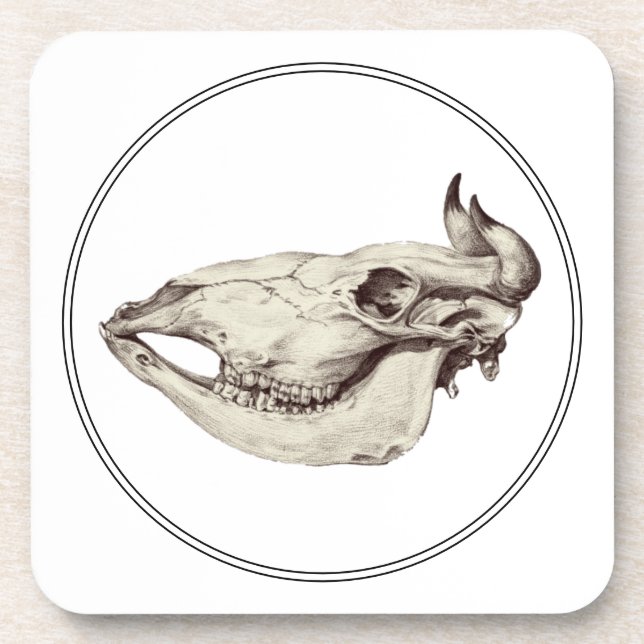 Porta-copo Vintage Skull of Cow Illustration (Frente)