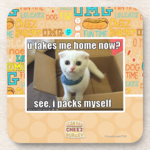 Porta-copo Você me leva para casa agora?